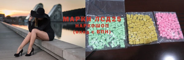 крисы Алзамай