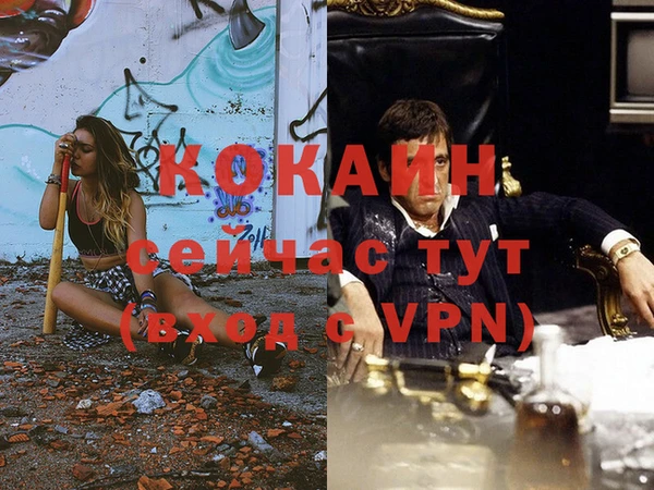 крисы Алзамай