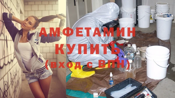 метадон Алексин