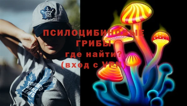 метадон Алексин