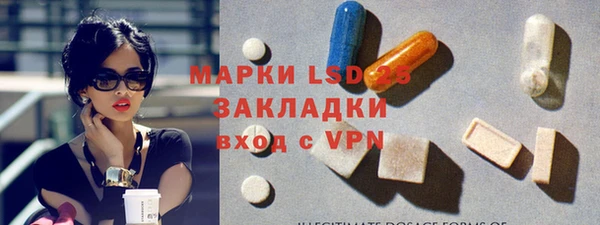 крисы Алзамай