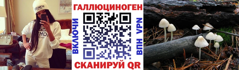 где купить наркоту Копейск Галлюциногенные грибы прущие грибы